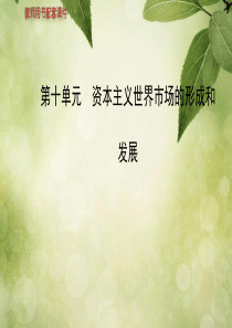 (新人教)2014届高考历史一轮复习课件 第十单元 资本主义世界市场的形成和发展(必修二)