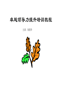 89卓越领导力提升培训教程1