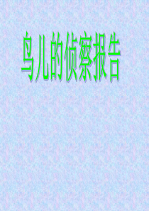 10家园呼唤课堂教学课件鸟儿的侦察报告北师大版语文五年级上册教学课件ppt