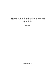 煤业化工集团有限责任公司矿井防治水管理办法