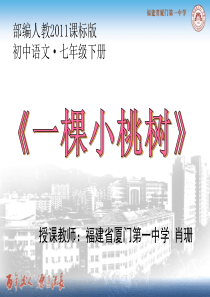 18一棵小桃树部优人教版初中语文七年级下册课件