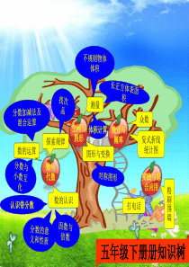 五年级数学下册总体及分单元知识树