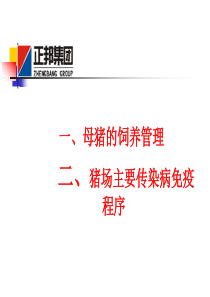 母猪的饲养管理与猪群防疫