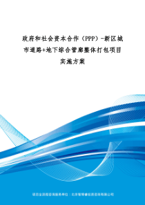 政府和社会资本合作(PPP)-新区城市道路+地下综合管廊整体打包项目实施方案(编制大纲)