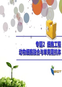 动物细胞融合与单克隆抗体课件