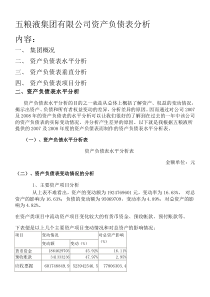 五粮液集团公司资产负债表分析