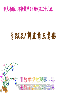 新人教版28.2.1解直角三角形