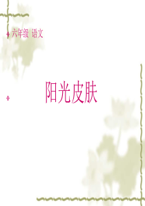 7地球家庭课堂教学课件阳光皮肤北师大版语文六年级上册教学课件ppt