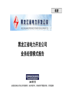 新华信-黑龙江省电力开发公司业务经营模式报告