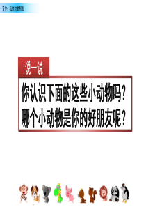 习作我的动物朋友部编版四年级下册语文教学资源