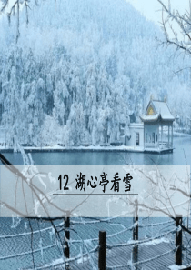 人教版九年级上册语文教学课件ppt12湖心亭看雪