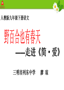 六名著导读简爱外国小说的阅读人教版初中语文九年级下册课件