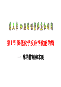 生物必修一_5.1降低化学反应活化能的酶