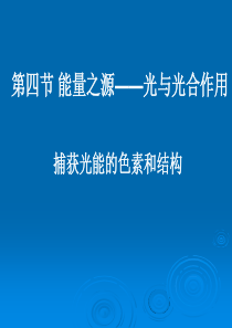 生物必修一人教版5.4――能量之源――光与光合作用(一)捕获光能的色素和结构