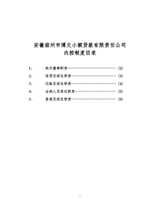 申请材料九__小额_贷款公司规章制度