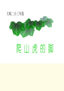 三年级语文下册 爬山虎的脚 5课件 北京版