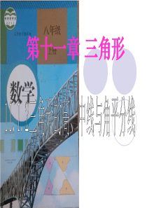 11.2与三角形高中线与角平分线【2014年最新人教版义务教育教科书八年级数学上册】