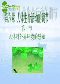 七年级生物下册第六章第一节人体对外界环境的感知──眼和视觉课件2人教版