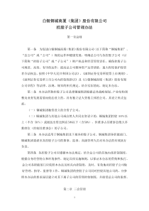 白银铜城商厦集团股份有限公司控股子公司管理办法