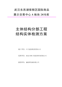 主体结构分部结构实体检测方案