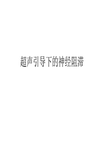 83超声引导下的神经阻滞