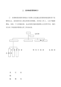 直销制度管理典范1