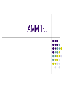 AMM手册讲解