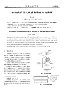 余热锅炉煤气烧嘴扁平化改造实践