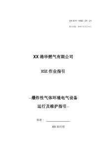 HSE_ZY-21 爆炸性气体环境用电气设备运行及维护指引