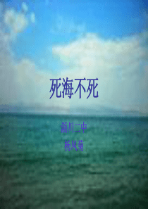 死海不死