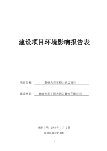 嘉峪关王朝大酒店环评报告表(报批稿)