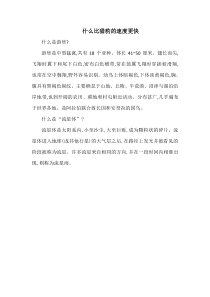 第二单元7什么比猎豹的速度更快人教版语文五年级上册二次备课素材