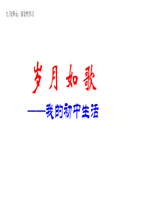 第二单元综合性学习岁月如歌我们的初中生活人教版初中语文九年级下册课件