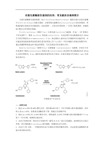 双萤光素酶报告基因的应用,常见载体及案例简介