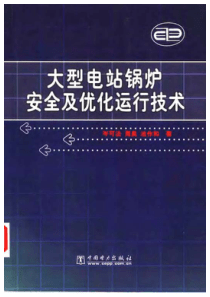 大型电站锅炉安全及优化运行技术