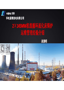 2145MW机组循环流化床锅炉运维管理经验介绍