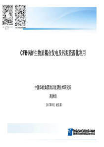 CFB锅炉生物质耦合发电及污泥资源化利用