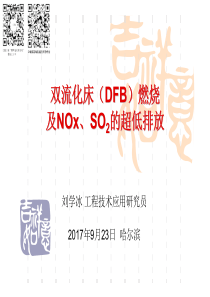 双流化床DFB燃烧及NOxSO2的超低排放