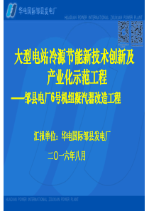 大型电站冷源节能新技术创新及产业化示范工程邹县电厂6号机组凝汽器改造工程