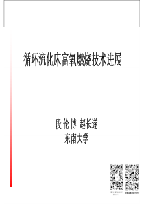 循环流化床富氧燃烧技术进展