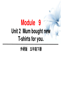 五年级下册英语课件-Module-9-Unit-2--Mum-bought-new-T-shirts