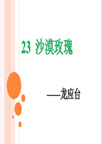 第六单元23沙漠玫瑰ppt课件西师版语文六年级上册教学课件ppt