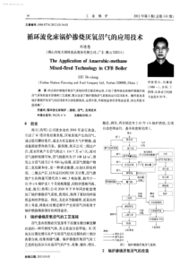 循环流化床锅炉掺烧厌氧沼气的应用技术