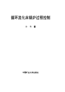 循环流化床锅炉过程控制孙伟中国矿业大学出版社2002