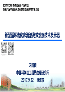 新型循环流化床清洁高效燃烧技术及示范