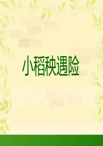 课堂教学课件2小稻秧脱险记苏教版语文三年级上册教学课件ppt