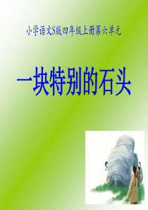 课堂教学课件3一块特别的石头语文S版语文四年级上册教学课件ppt