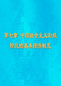 第七章 初级阶段的基本经济制度