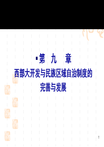 第九章西部大开发与民族区域自治制度的发展与完善