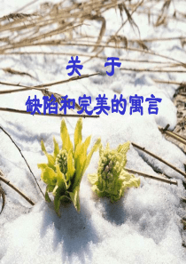 煤粉锅炉稳燃技术分析